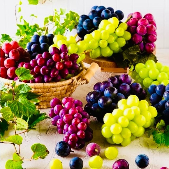 🌞🍄🌞🍄🌞🍄🌞🍄🌞🍄🌞🍄🌞🍄🌞🍄🌞🍄 - Picture 2 of 12